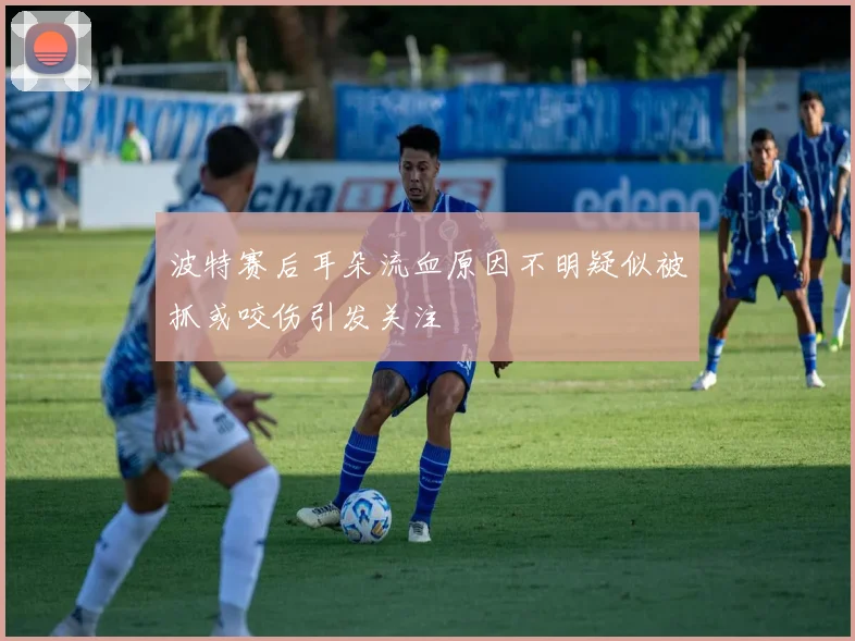波特赛后耳朵流血原因不明疑似被抓或咬伤引发关注